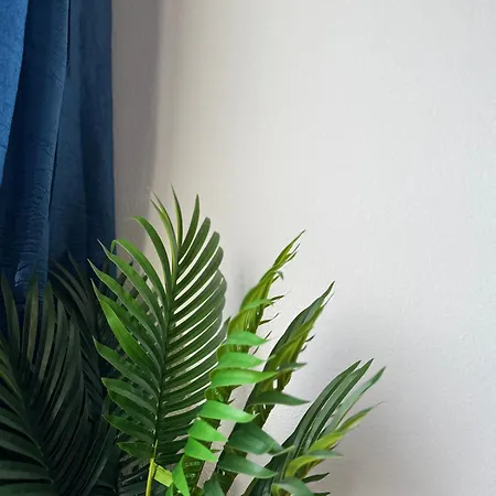 Plaza Espana ヴィーゴ