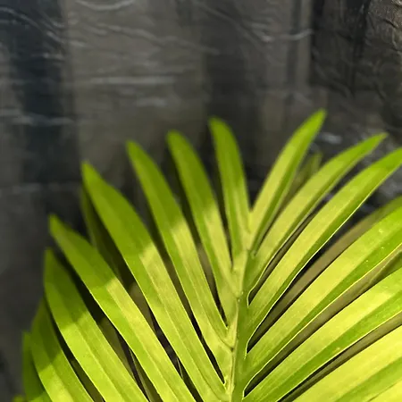 アパート Plaza Espana